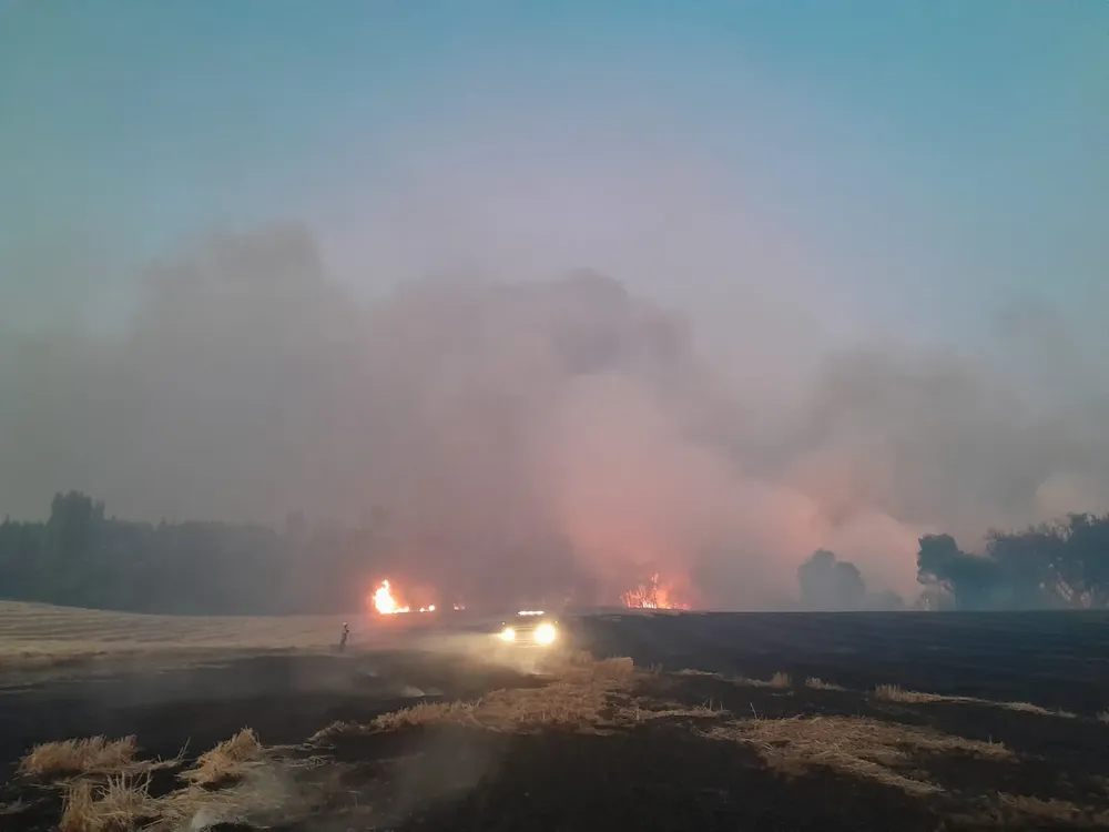 Incendios en Ñuble Richell  Aedo Herrera