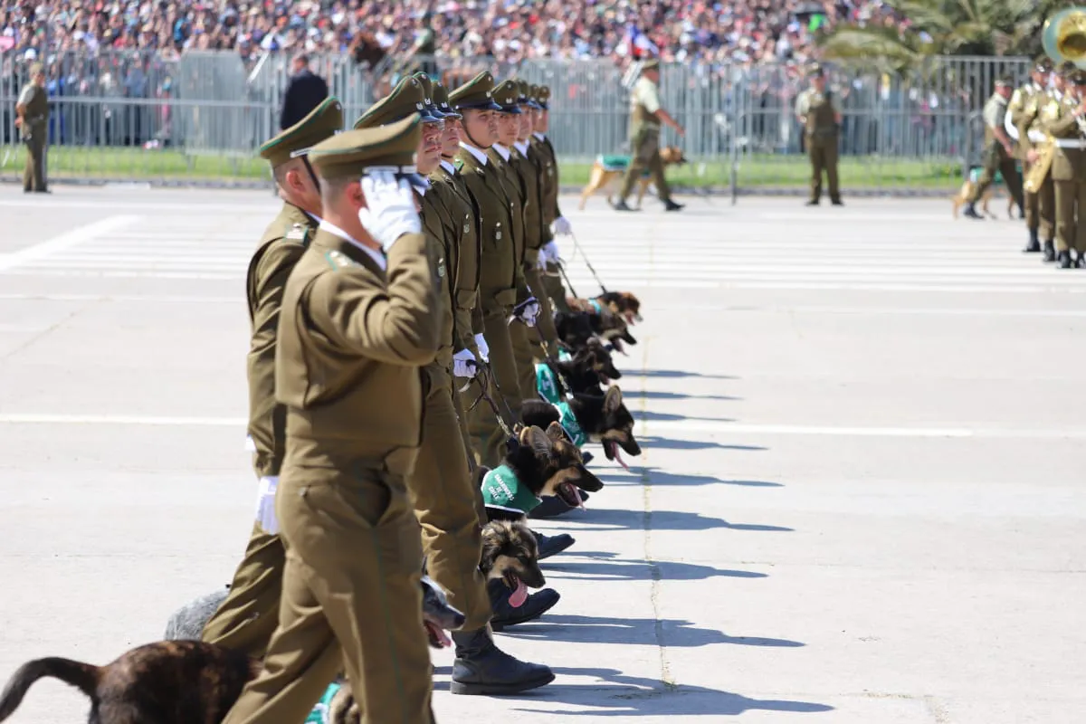 Gran Parada Militar 2025. Fotógrafo Cristian Daniel González Henríquez para The Times en Español