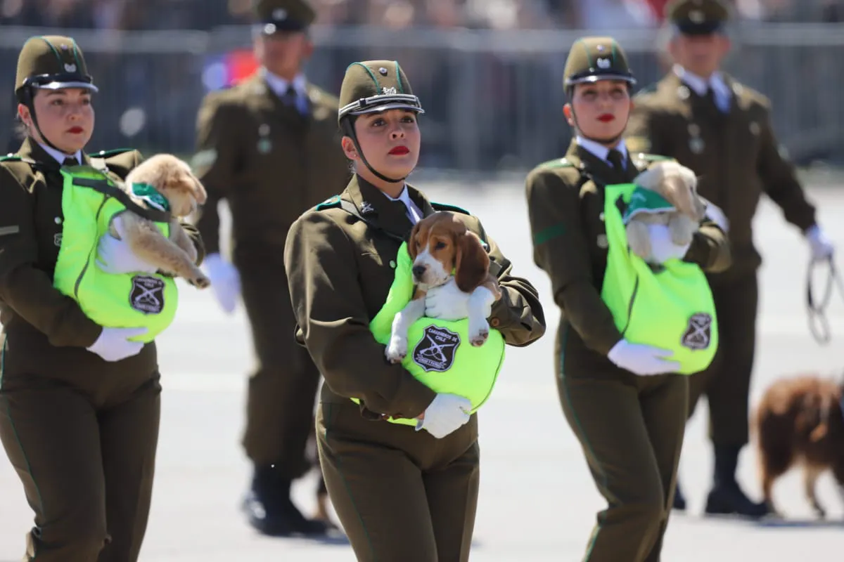 Gran Parada Militar 2025. Fotógrafo Cristian Daniel González Henríquez para The Times en Español