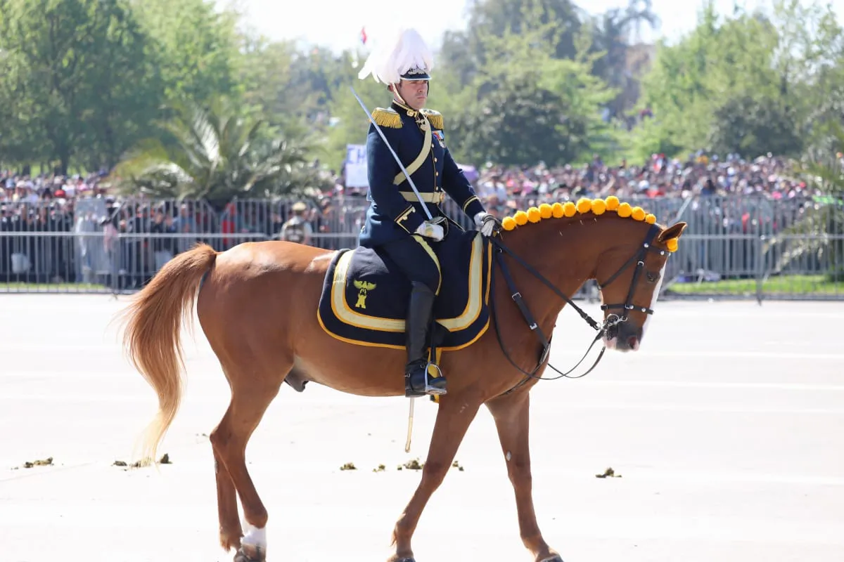 Gran Parada Militar 2025. Fotógrafo Cristian Daniel González Henríquez para The Times en Español