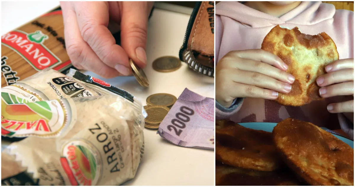 alimentos