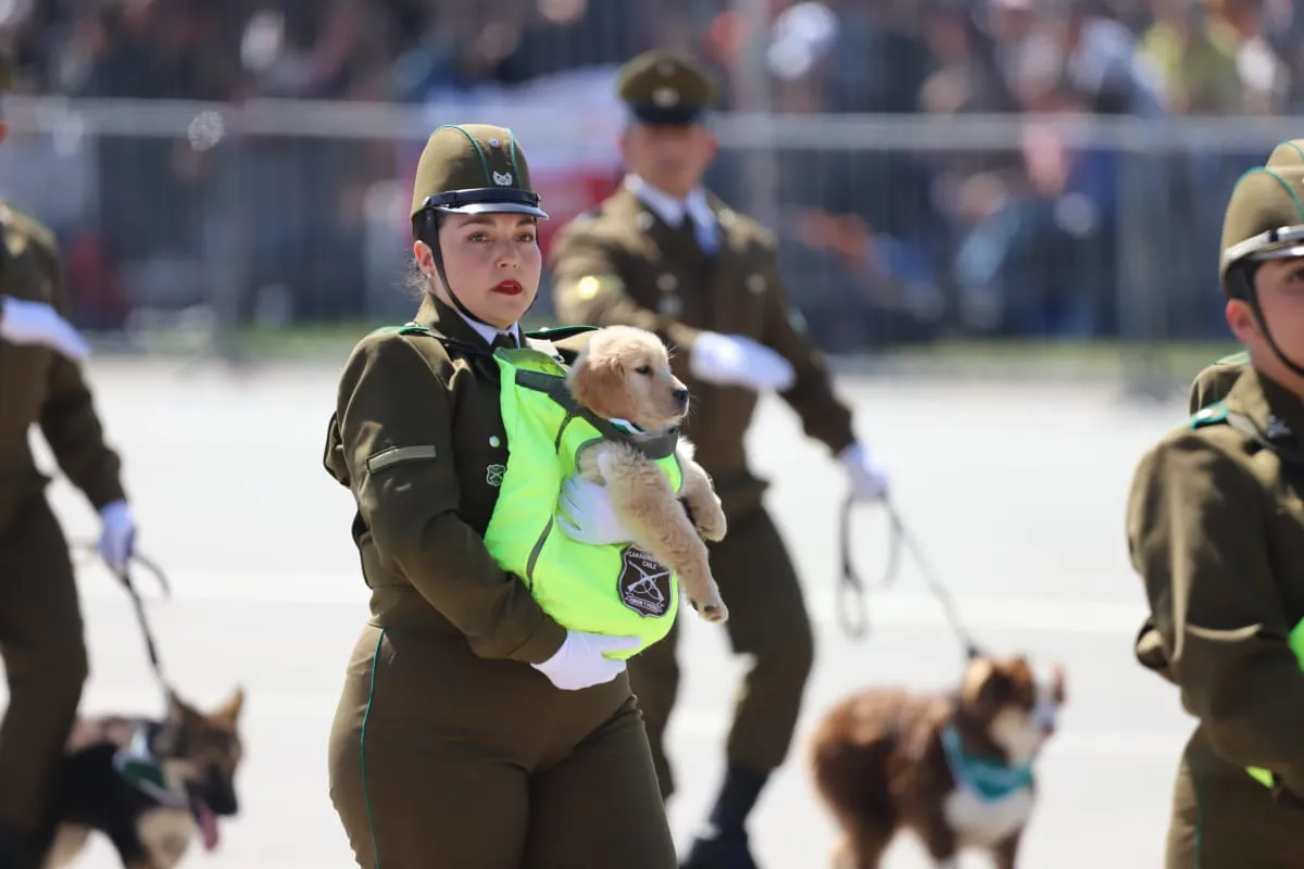 Gran Parada Militar 2025. Fotógrafo Cristian Daniel González Henríquez para The Times en Español