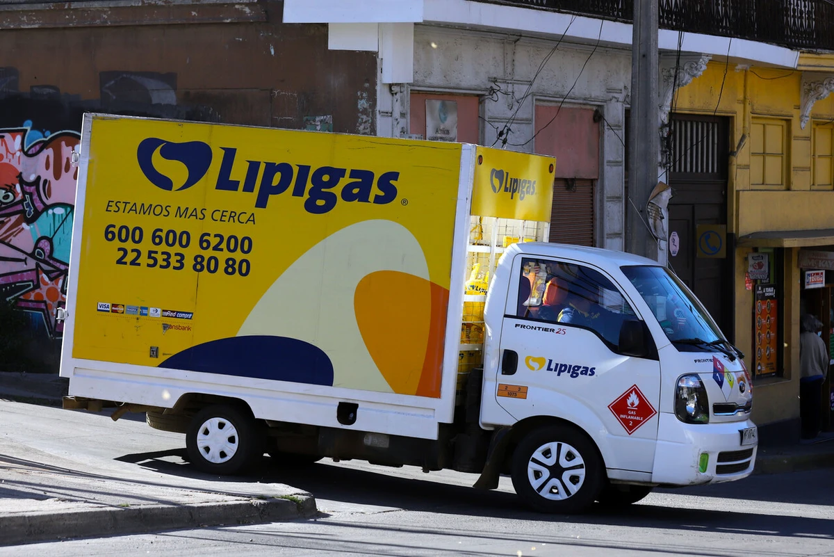 LIpigas Cedida