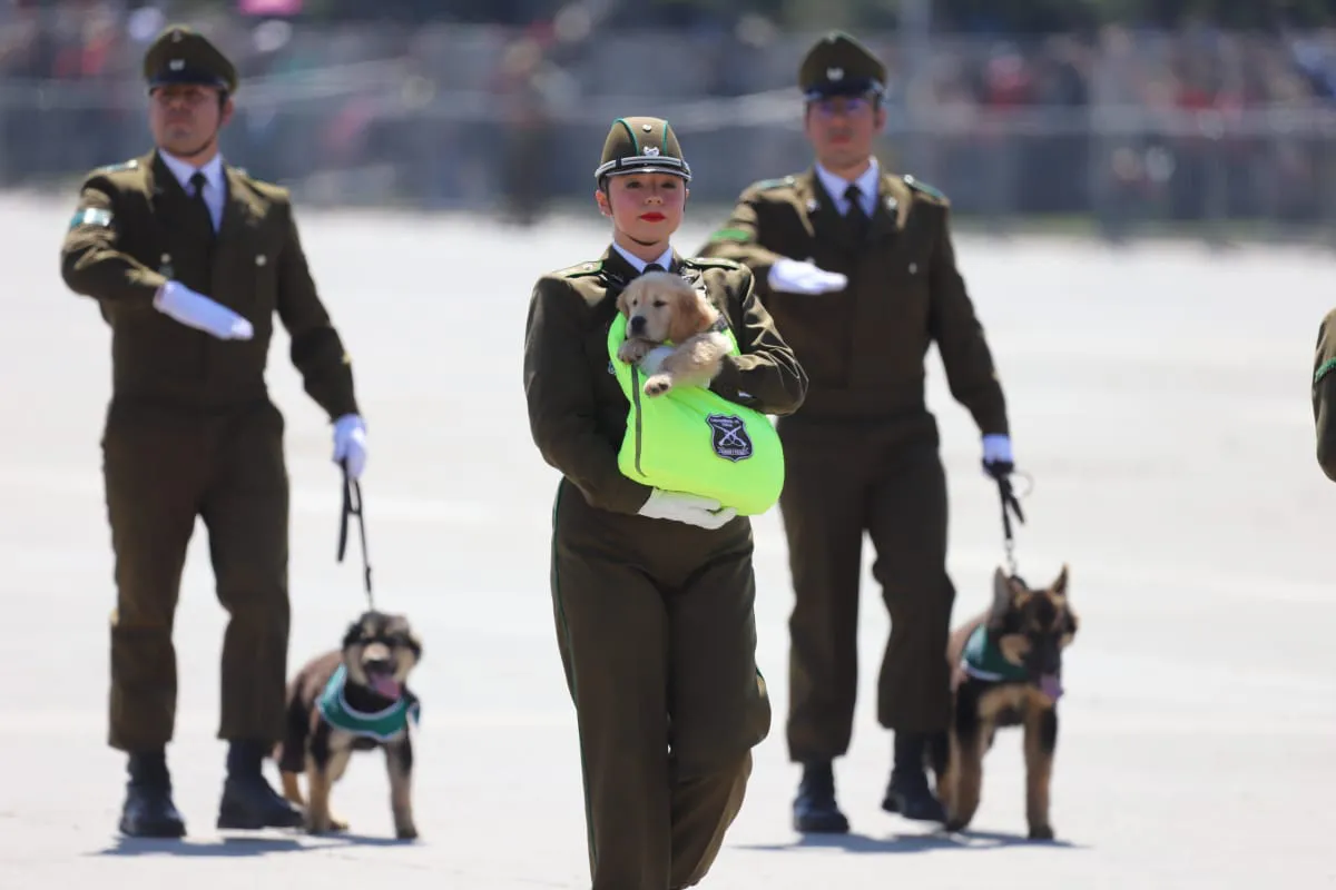 Gran Parada Militar 2025. Fotógrafo Cristian Daniel González Henríquez para The Times en Español