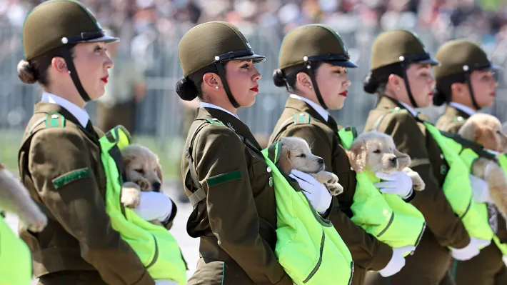 Gran Parada Militar 2025. Fotógrafo Cristian Daniel González Henríquez para The Times en Español