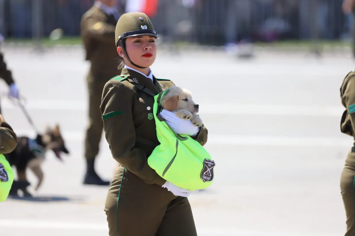 Gran Parada Militar 2025. Fotógrafo Cristian Daniel González Henríquez para The Times en Español