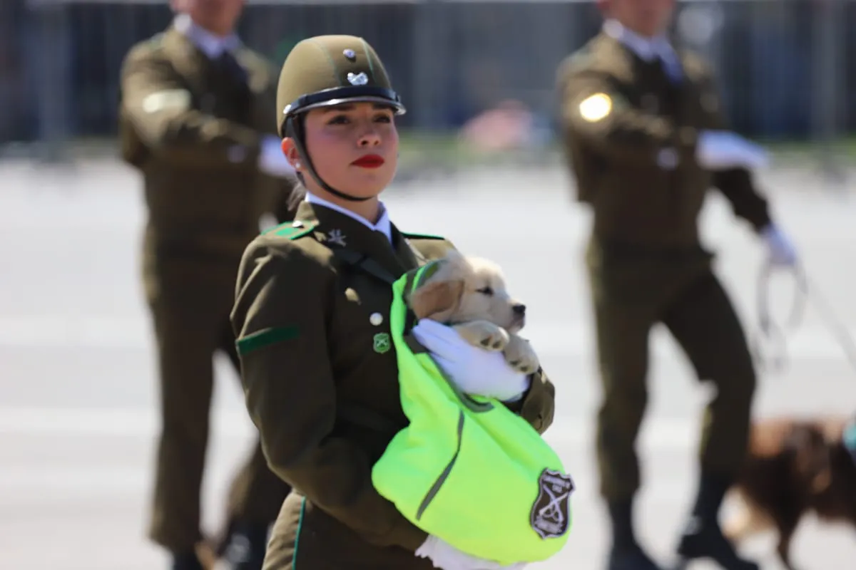 Gran Parada Militar 2025. Fotógrafo Cristian Daniel González Henríquez para The Times en Español