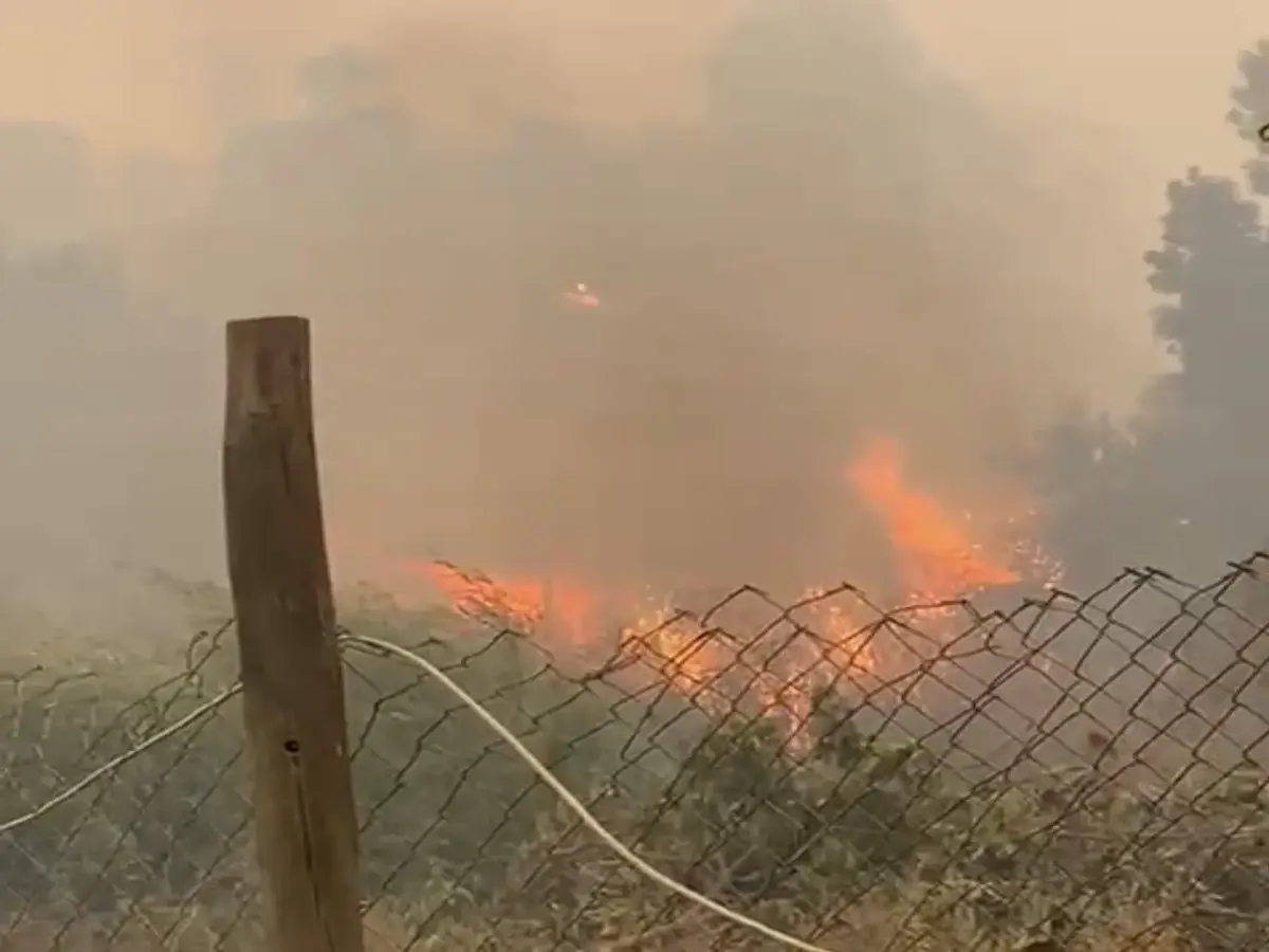 Incendio Forestal