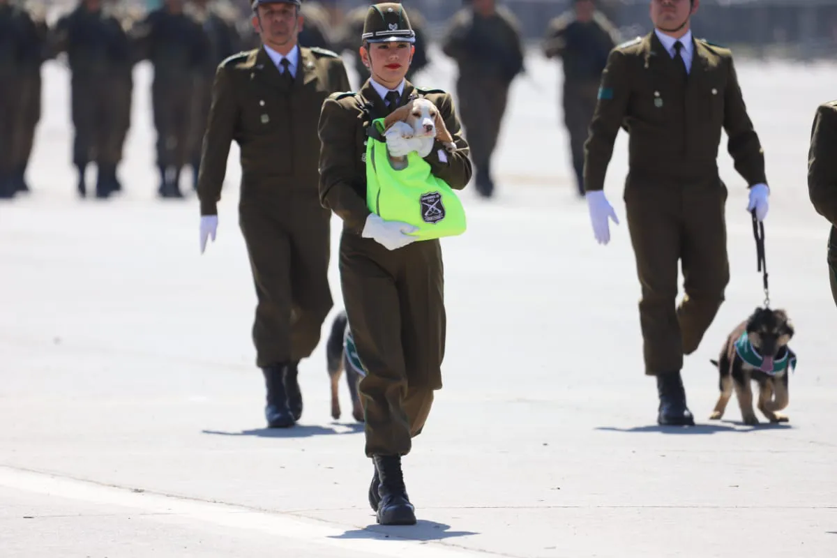 Gran Parada Militar 2025. Fotógrafo Cristian Daniel González Henríquez para The Times en Español