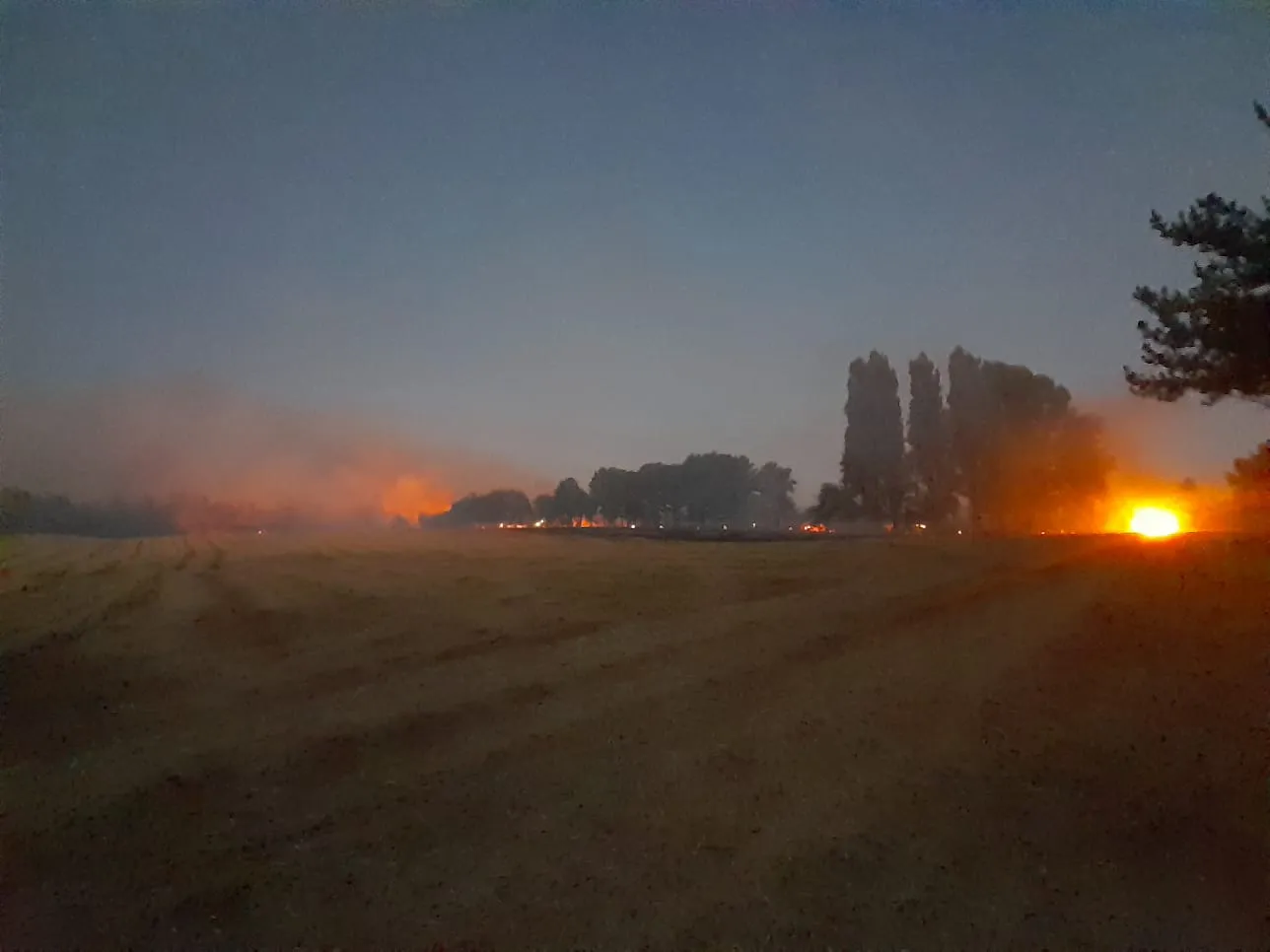 Incendios en Ñuble Richell Aedo Herrera