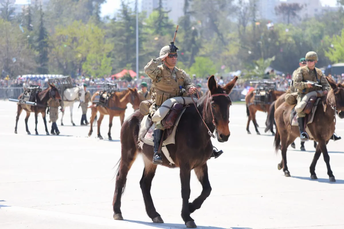 Gran Parada Militar 2025. Fotógrafo Cristian Daniel González Henríquez para The Times en Español