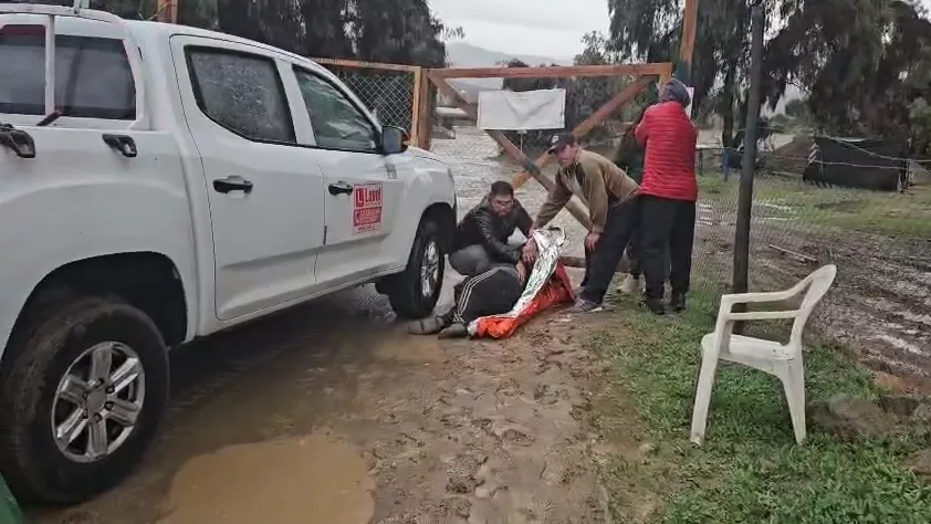 Carabineros