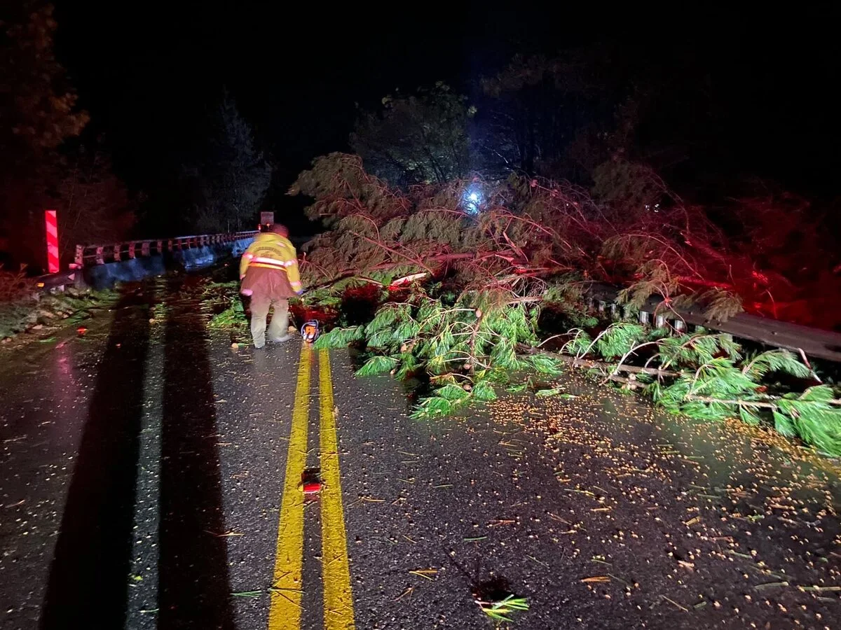 Panguipulli: 2 muertos destapan crisis de infraestructura / Carabineros de Chile