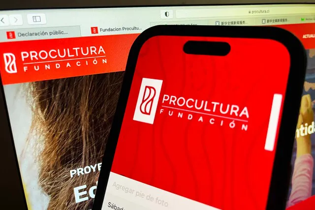 Procultura 📷 PABLO OVALLE ISASMENDI / Agencia Uno